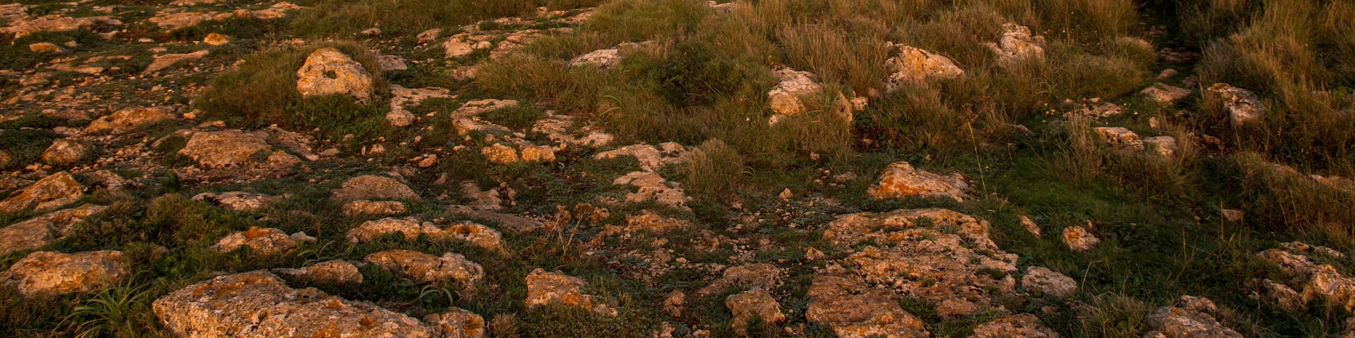 Uluzzo Tower, Salento