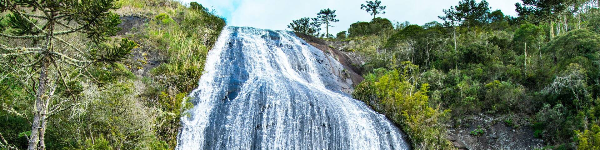 Une cascade dévalant une pente rocheuse, entourée d’un feuillage verdoyant et luxuriant.
