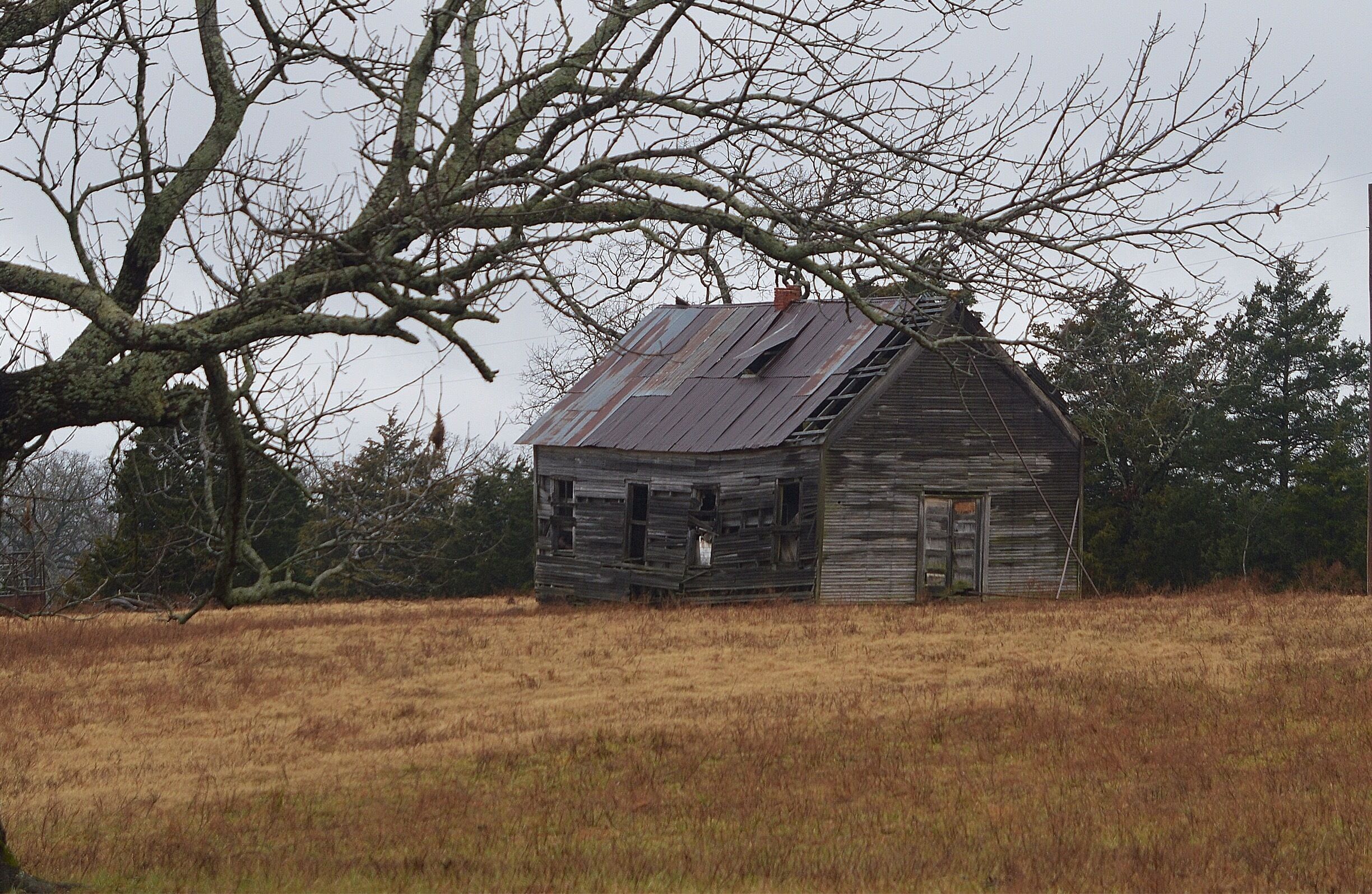 A dilapidated wooden barn with a slanted roof, surrounded by dry grass and trees.