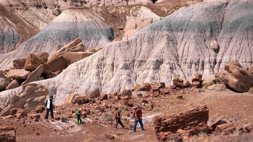 A rocky desert landscape with large boulders and hikers.