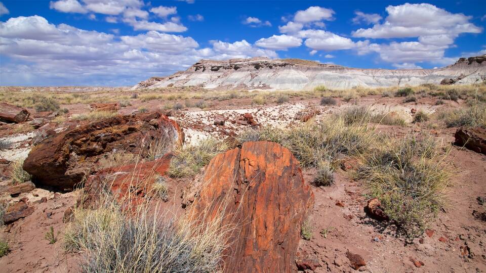A desert landscape with red rock formations and sparse vegetation under a clear blue sky.