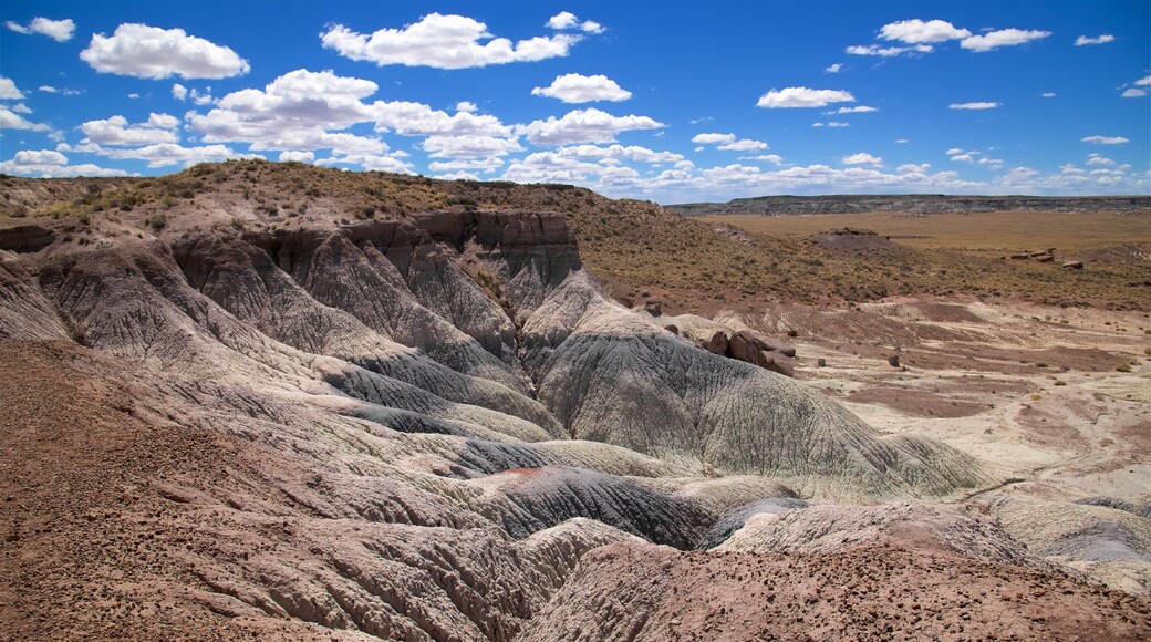 Petrified Forest National Park ofreciendo vistas al desierto y escenas tranquilas