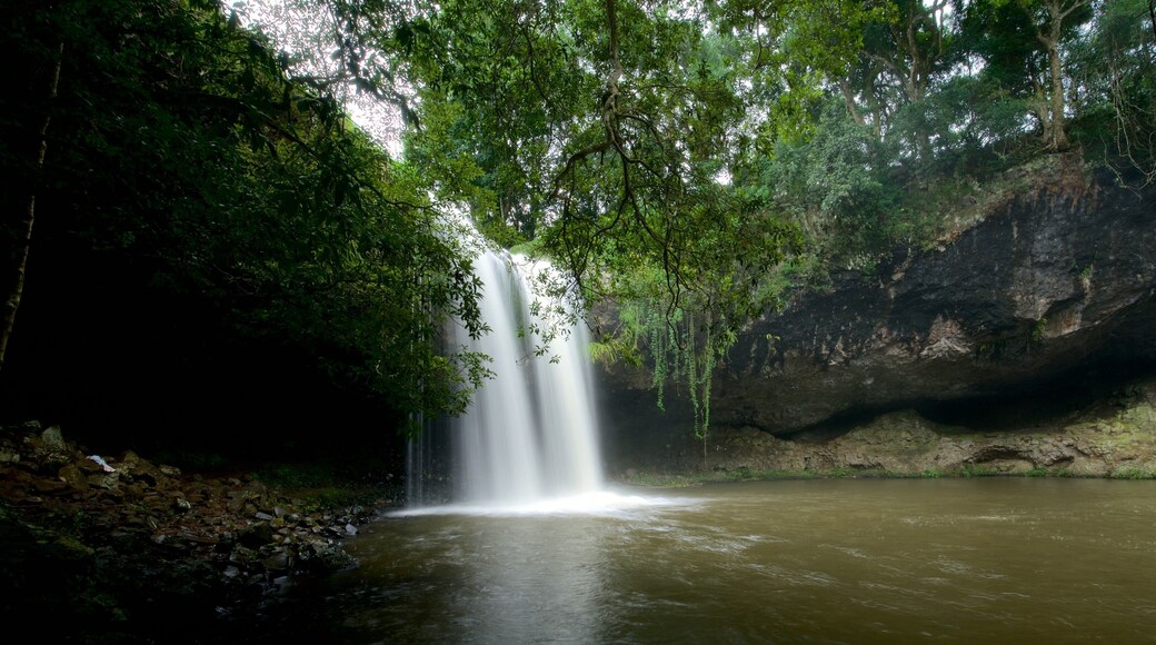 Killen Falls featuring a waterfall and a river or creek