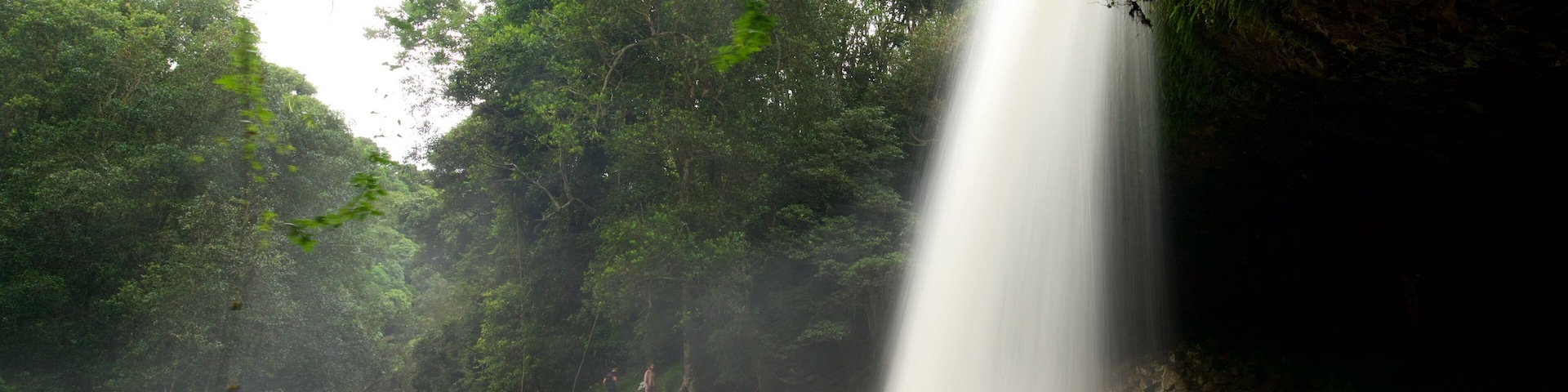 Byron Bay qui includes chute d\'eau