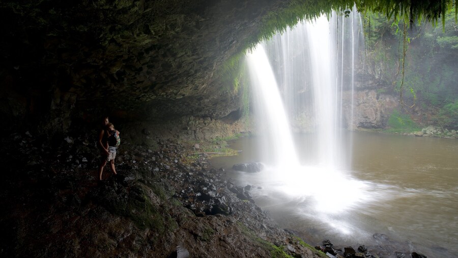 Byron Bay que incluye una cascada