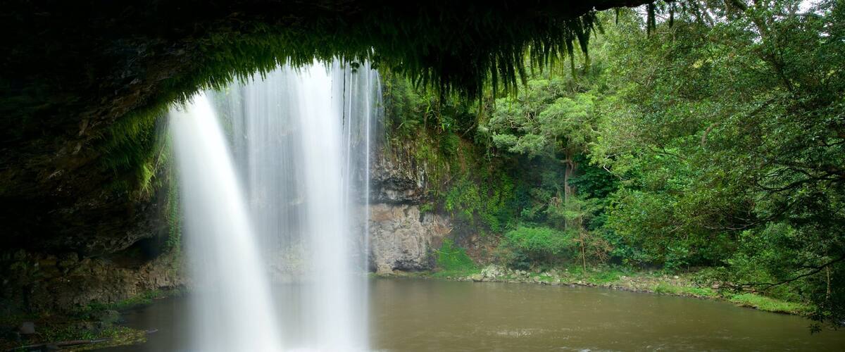 Byron Bay featuring a waterfall