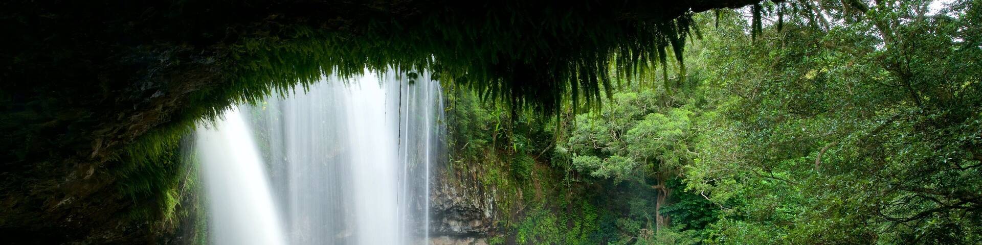 Byron Bay montrant cascade