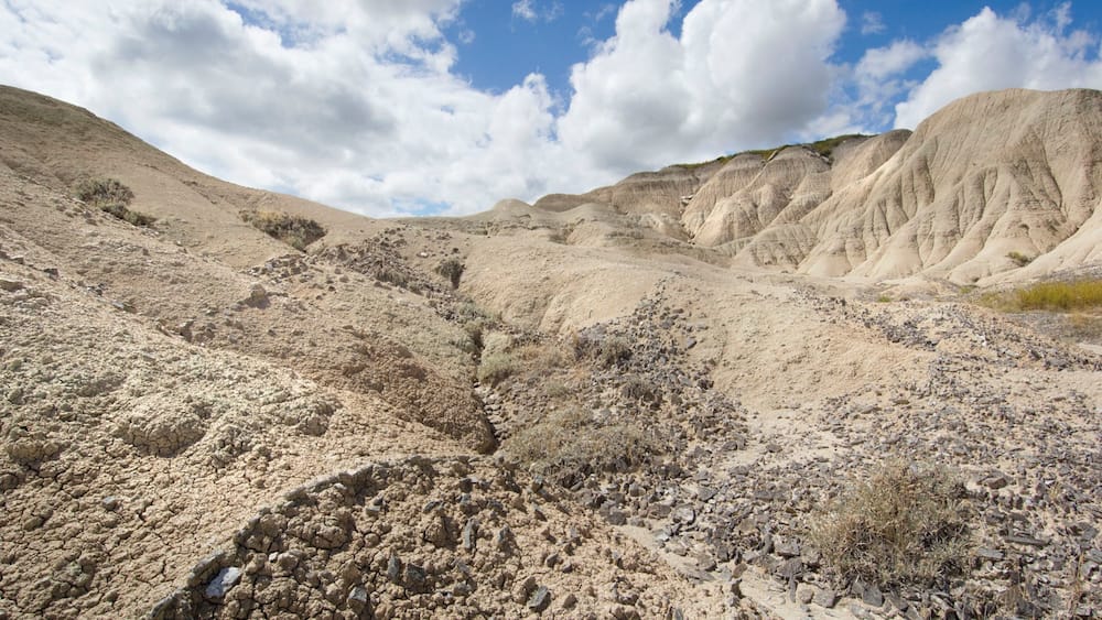 Eine zerklüftete Wüstenlandschaft mit felsigem Gelände und spärlicher Vegetation.