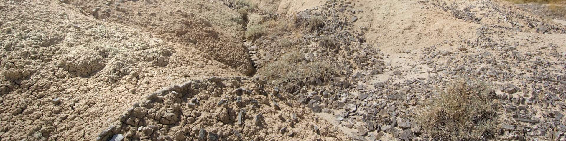 A rugged desert landscape with rocky terrain and sparse vegetation.