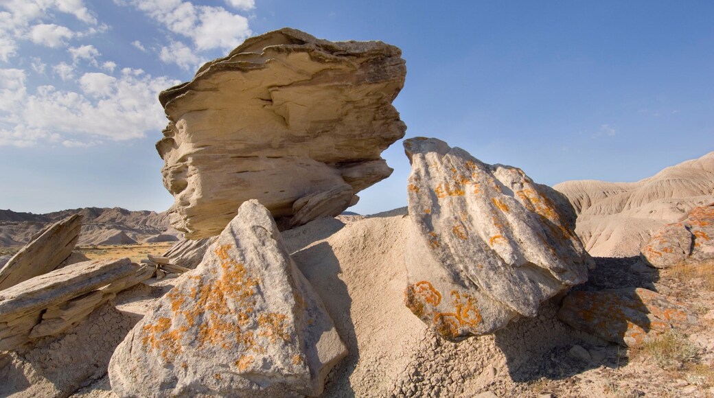 Crawford which includes tranquil scenes