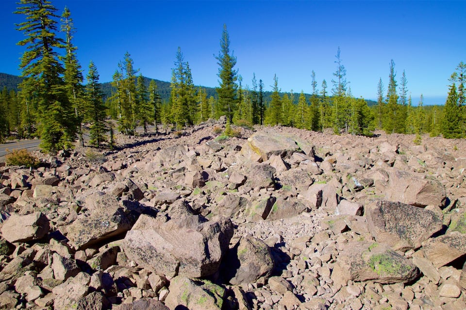 A rocky terrain with scattered trees and a clear blue sky.