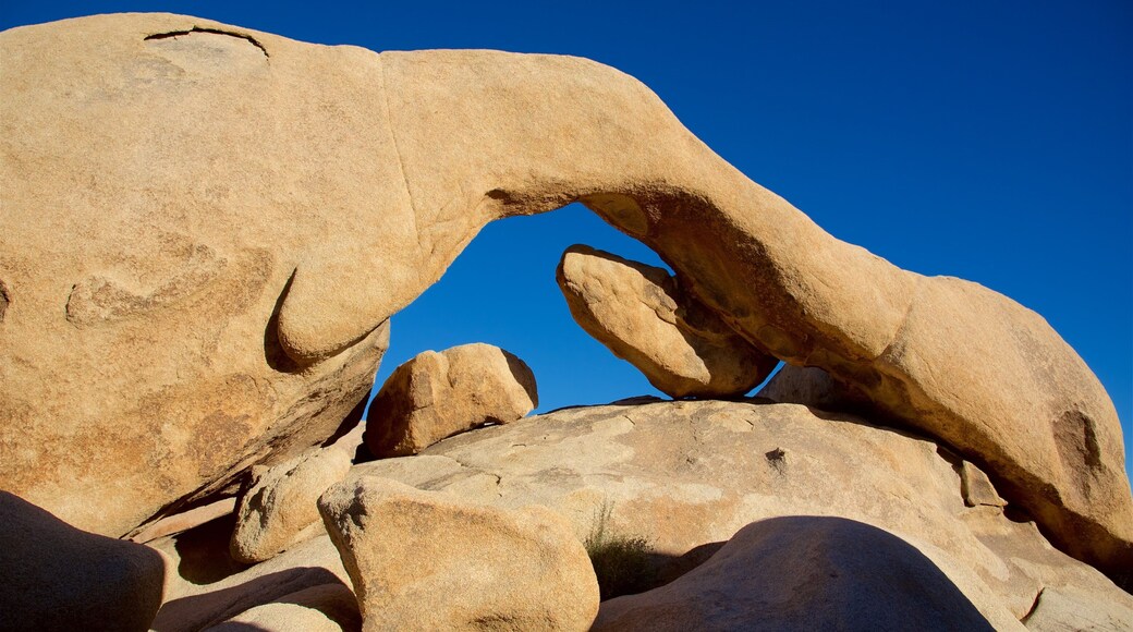 Joshua Tree National Park