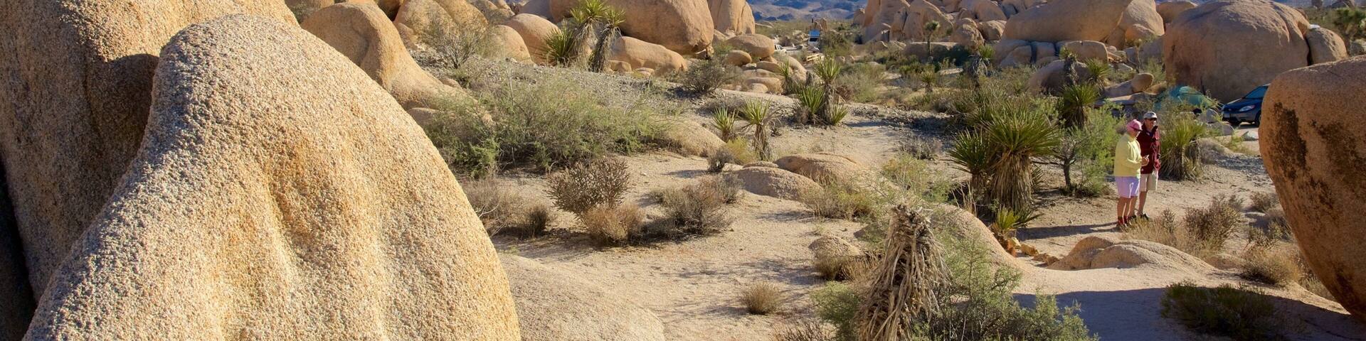 A desert landscape with large boulders and sparse vegetation.