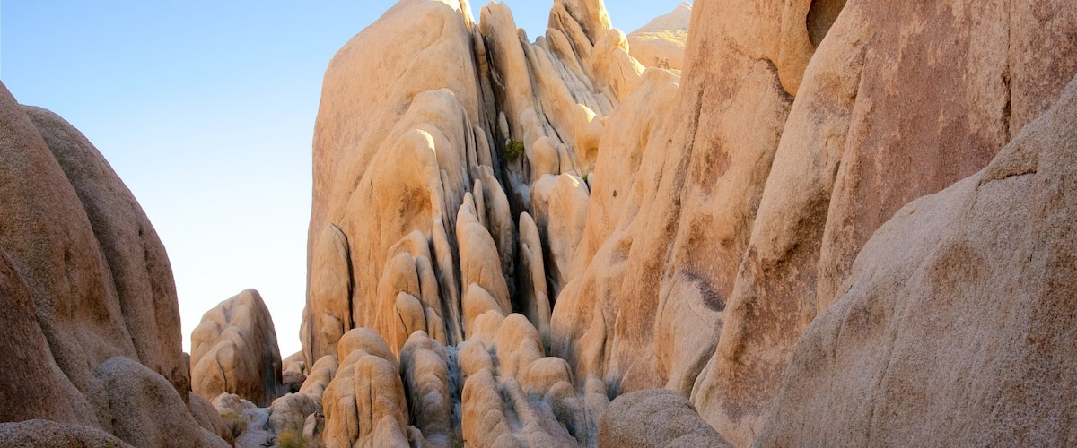 Arch Rock