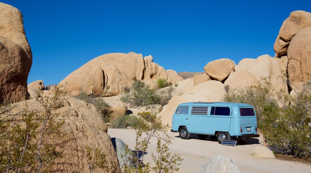 Joshua Tree National Park showing desert views and camping