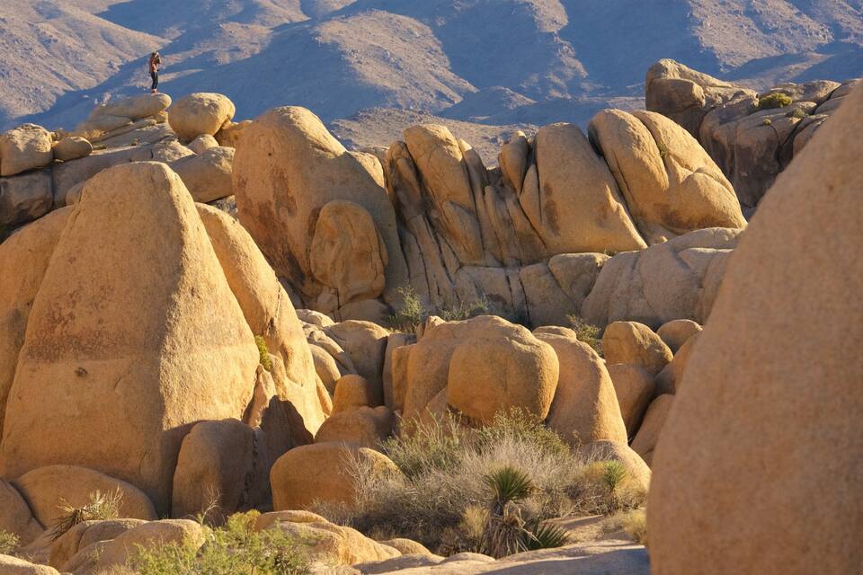 A desert landscape with large boulders and sparse vegetation.