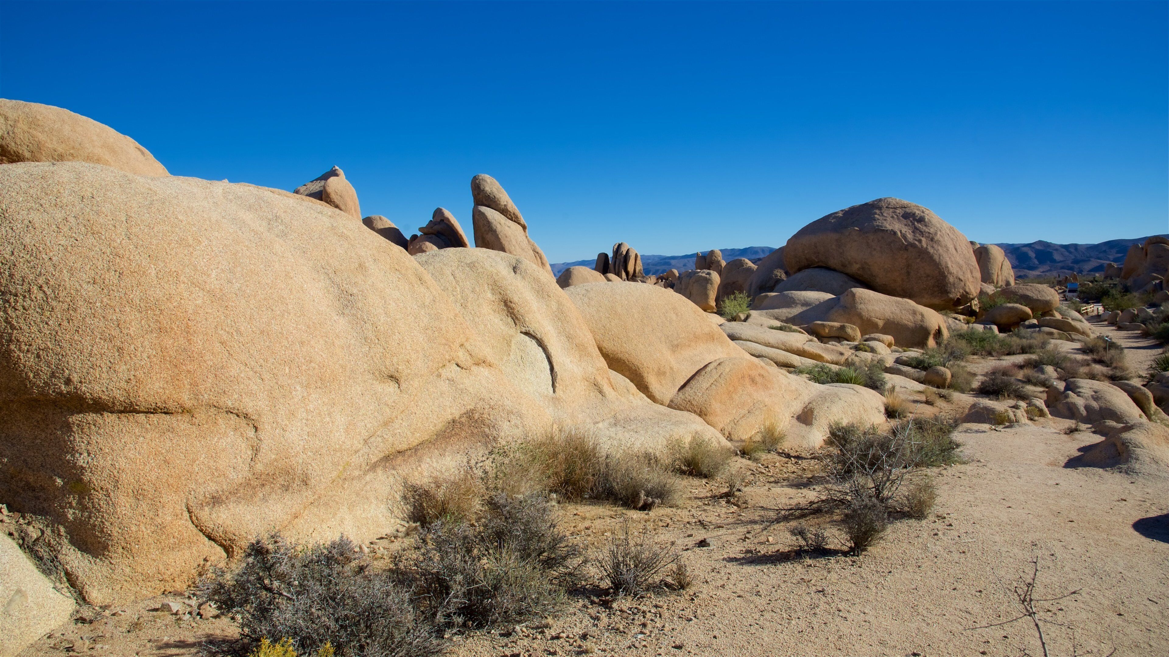 Parque Nacional de Joshua Tree mostrando paisagens do deserto