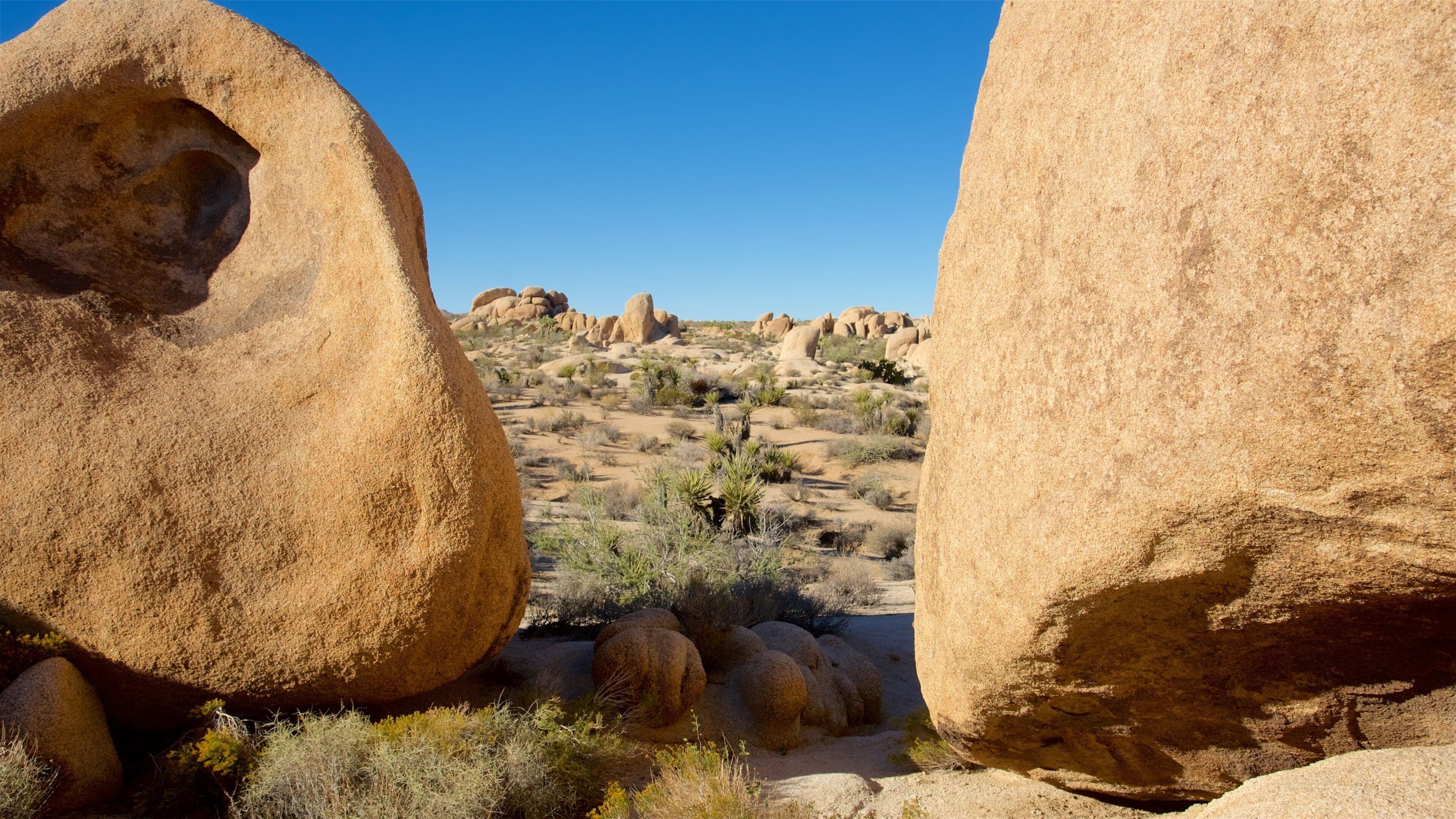 Large boulders in a desert landscape with sparse vegetation.