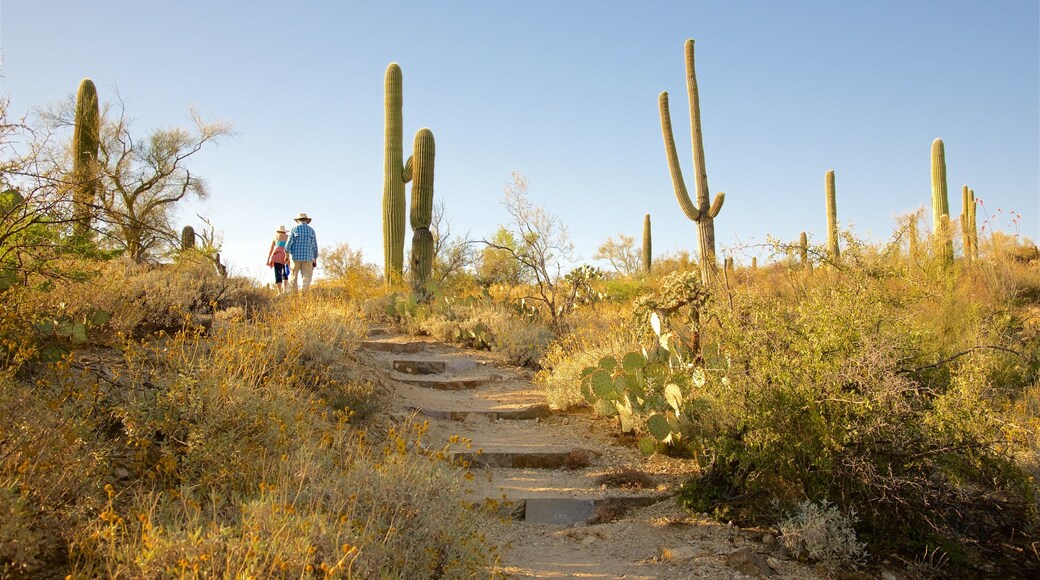 Freeman Homestead Trail