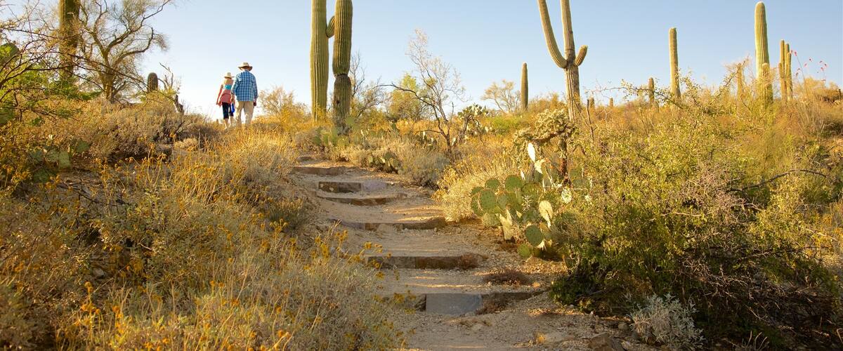 Freeman Homestead Trail
