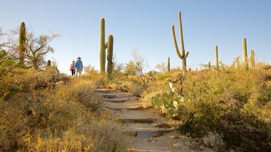 Freeman Homestead Trail