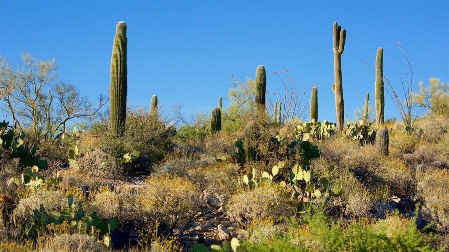 Freeman Homestead Trail