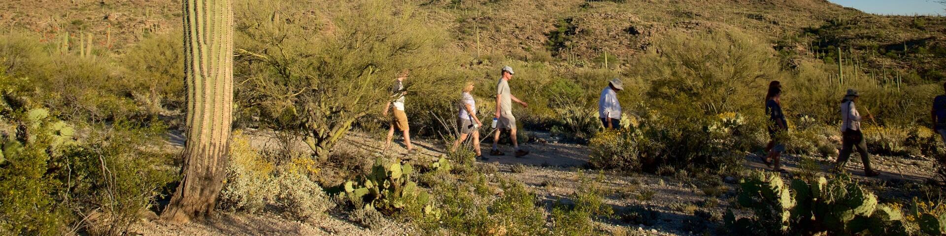 Freeman Homestead Trail