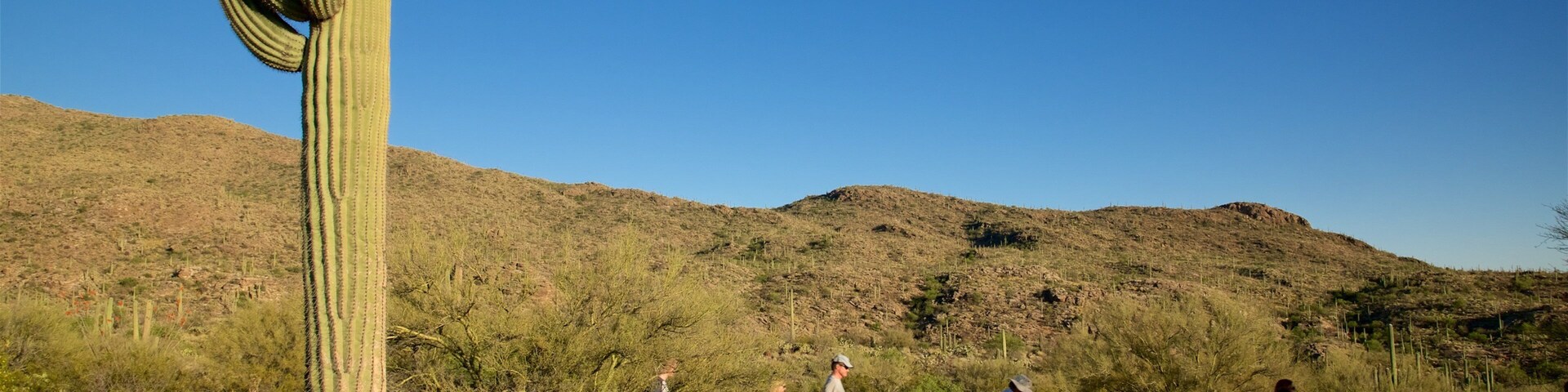 Freeman Homestead Trail