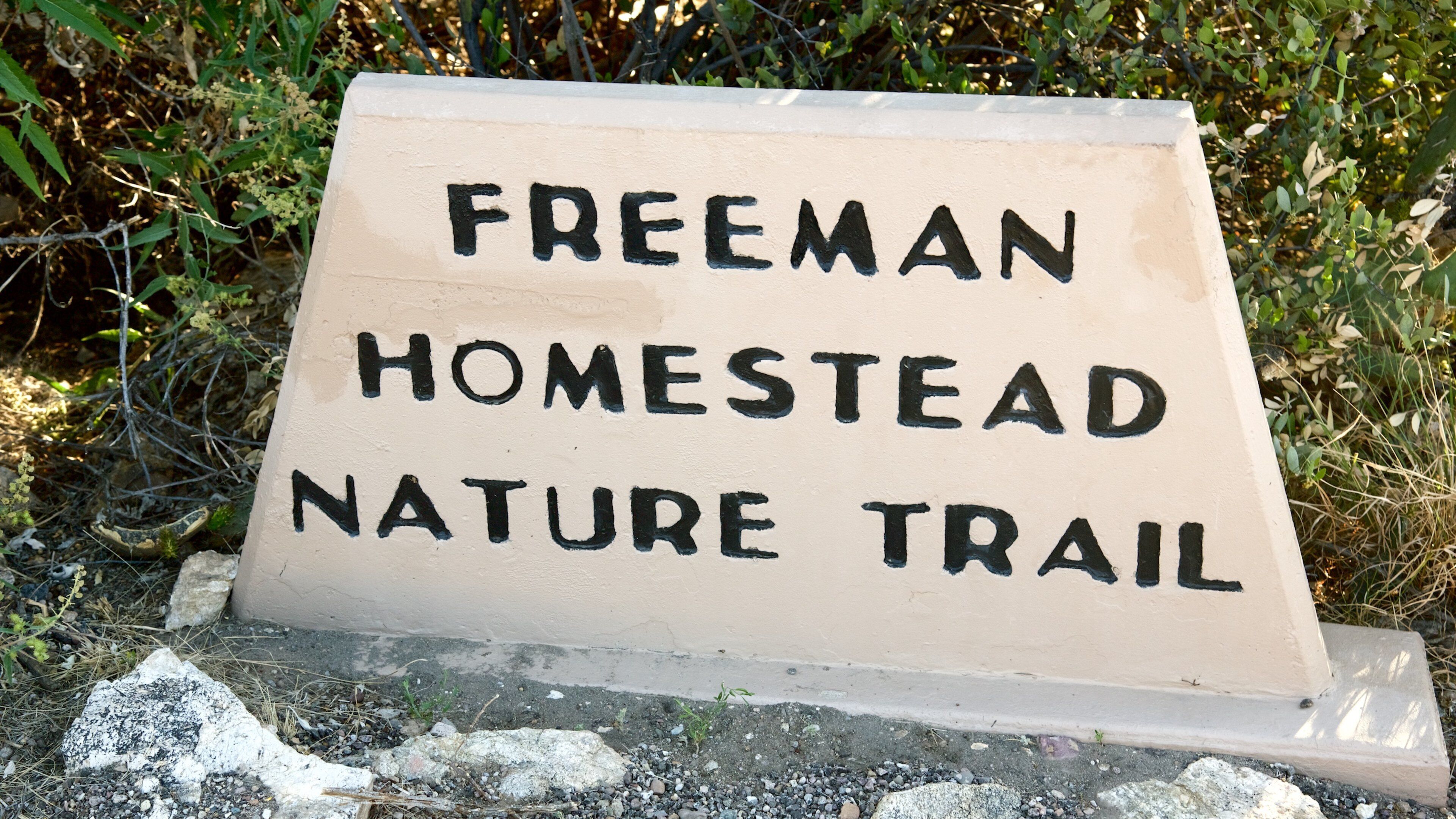 Saguaro National Park which includes signage, tranquil scenes and desert views