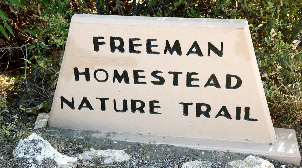 Saguaro National Park which includes signage, tranquil scenes and desert views