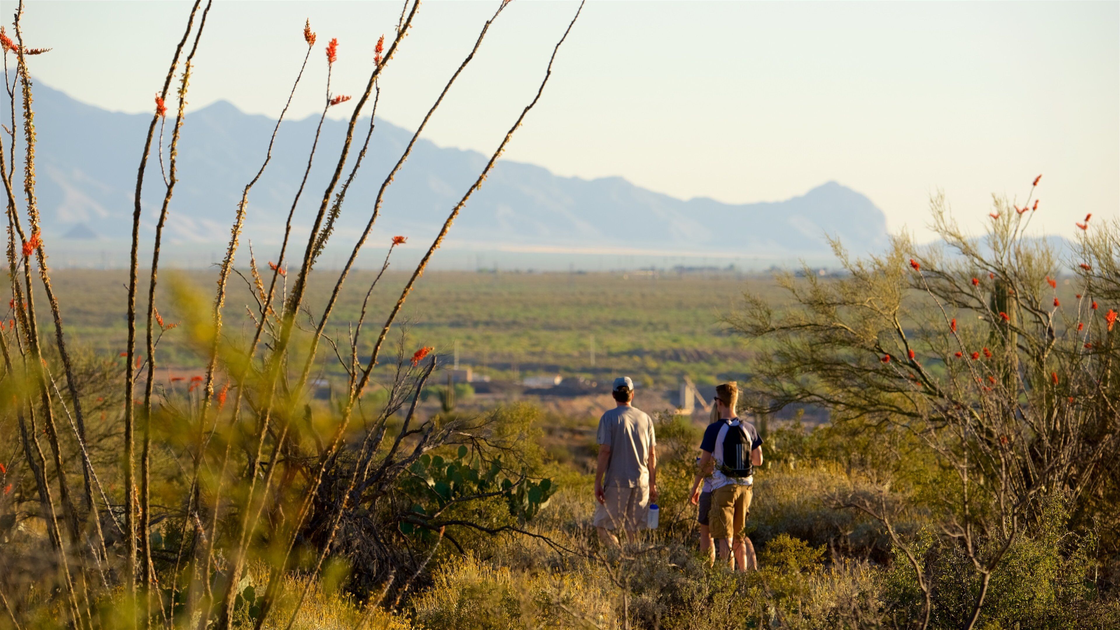 Freeman Homestead Trail