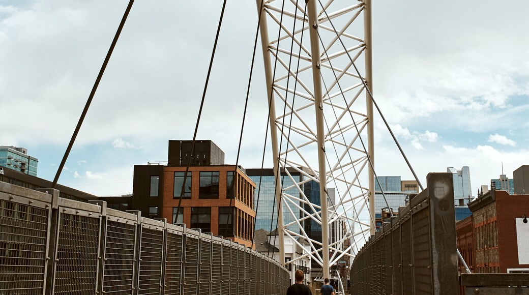 ไฮแลนด์