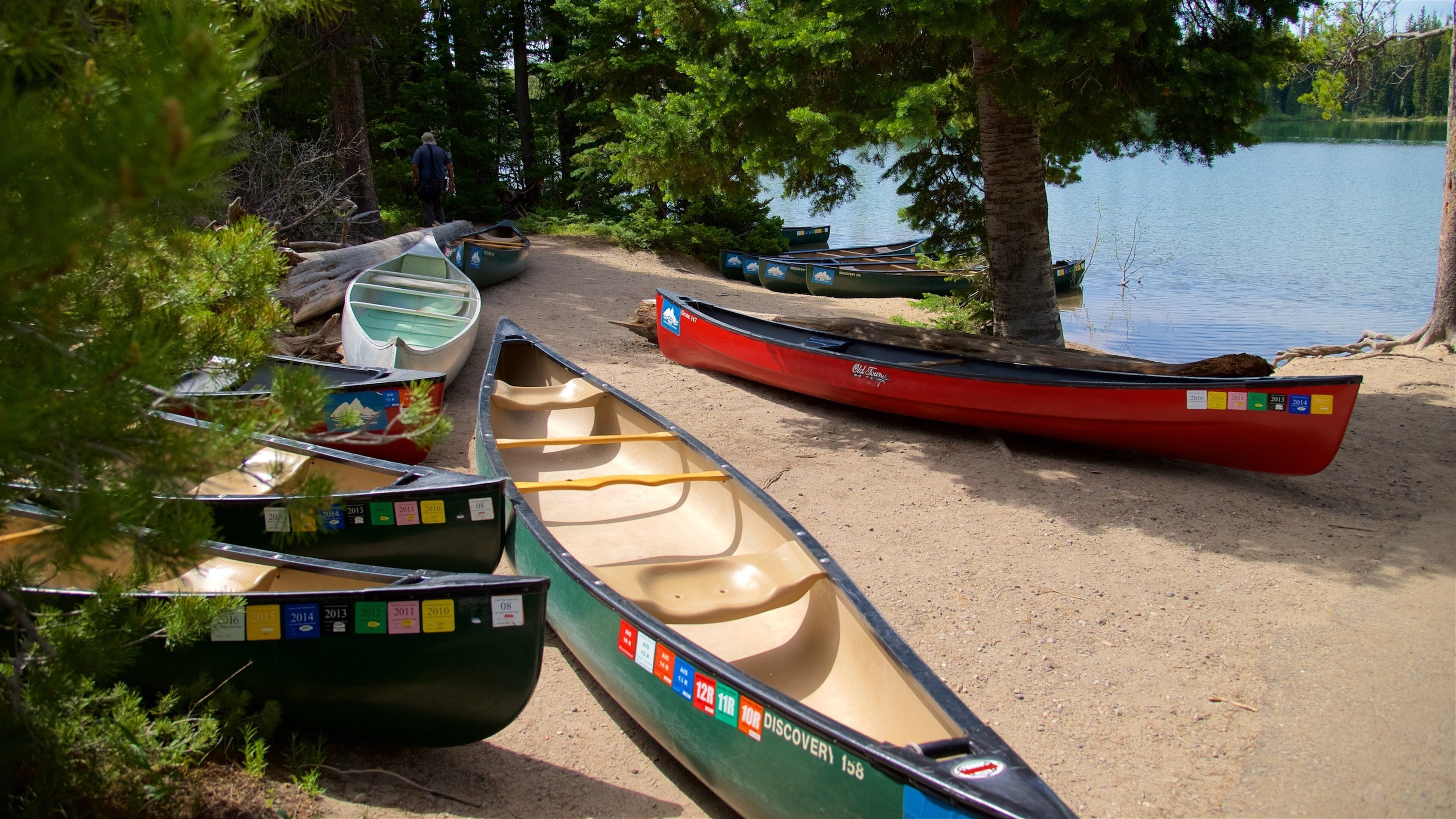 Parque Nacional Grand Teton que incluye un lago o abrevadero