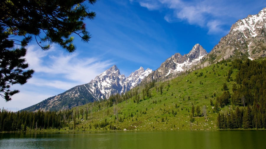 Grand Teton National Park which includes landscape views, a lake or waterhole and mountains