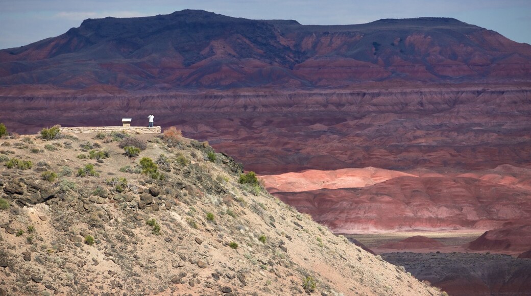 Petrified Forest National Park caracterizando paisagens, paisagens do deserto e cenas tranquilas