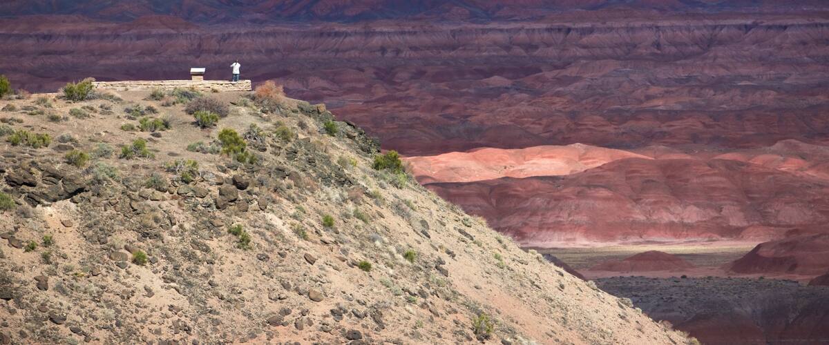 Petrified Forest National Park ofreciendo vistas, vistas al desierto y escenas tranquilas