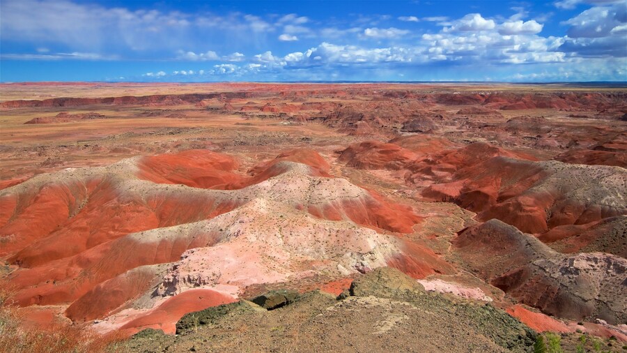 Petrified Forest National Park