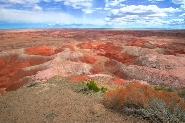 Petrified Forest National Park welches beinhaltet Wüstenblick und ruhige Szenerie