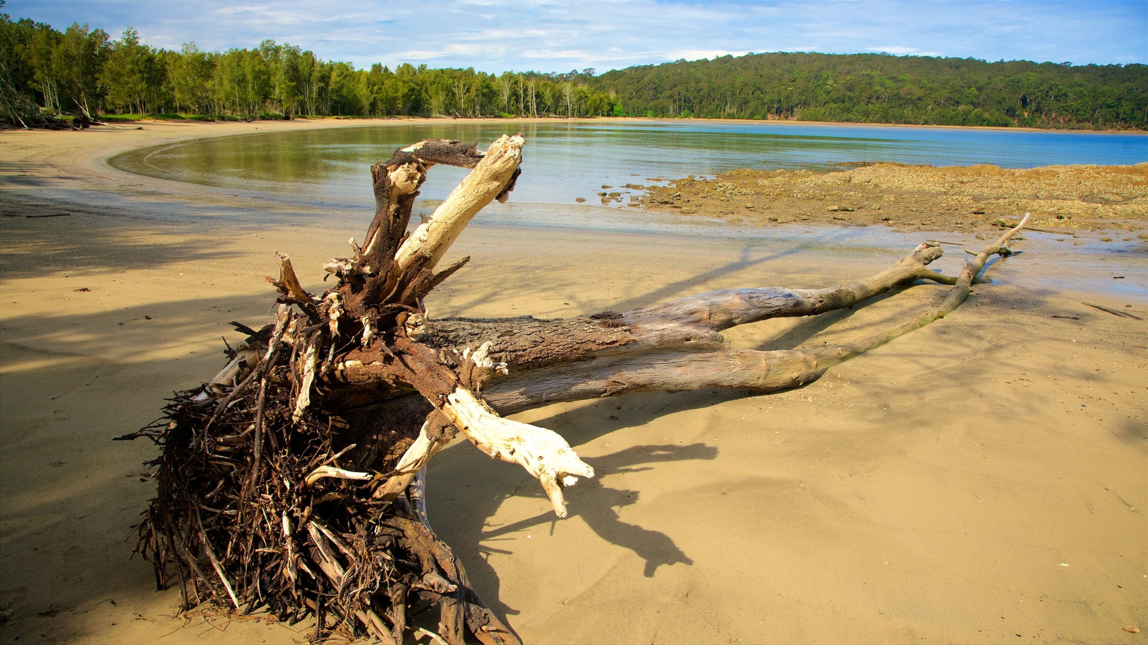 Batemans Bay featuring forest scenes, a sandy beach and a bay or harbour