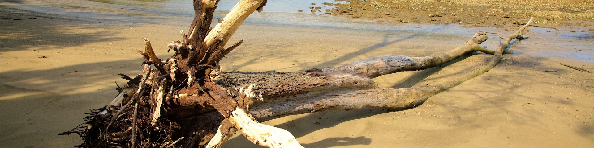 Batemans Bay featuring forests, a bay or harbor and a sandy beach