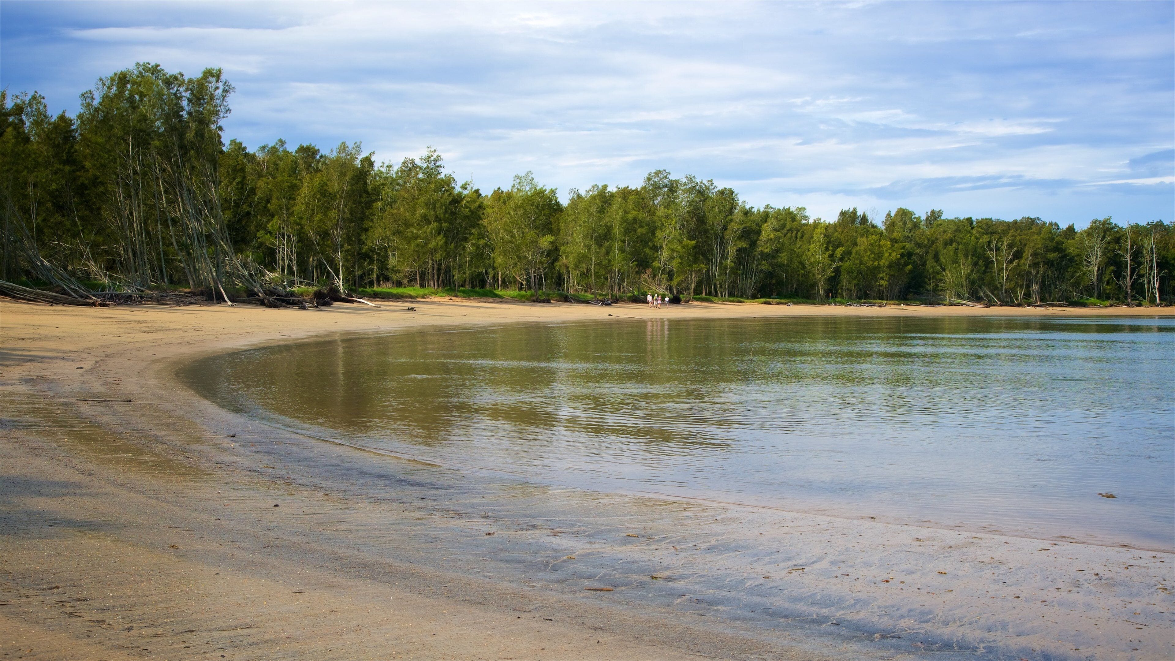 Batemans Bay caracterizando uma baía ou porto, florestas e uma praia