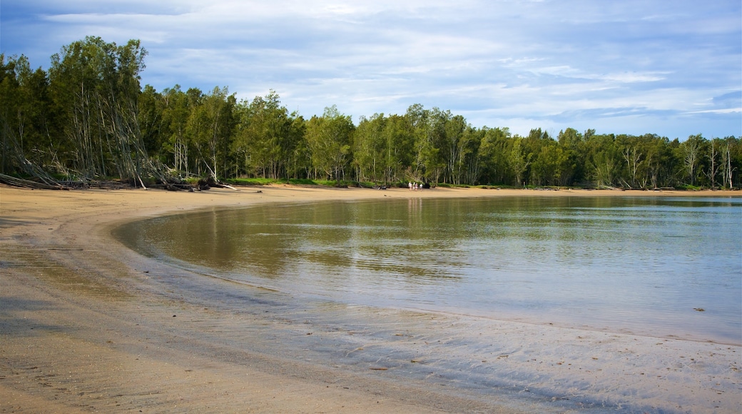 Batemans Bay joka esittÀÀ hiekkaranta, lahti tai satama ja metsÀnÀkymÀt