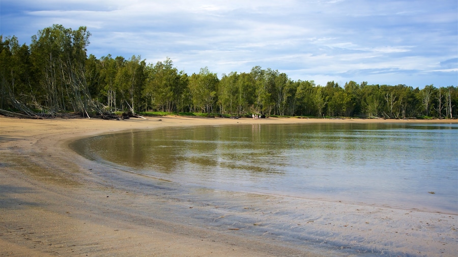 Batemans Bay featuring forest scenes, a bay or harbour and a sandy beach