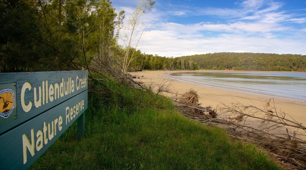 Batemans Bay joka esittÀÀ hiekkaranta, lahti tai satama ja kyltit