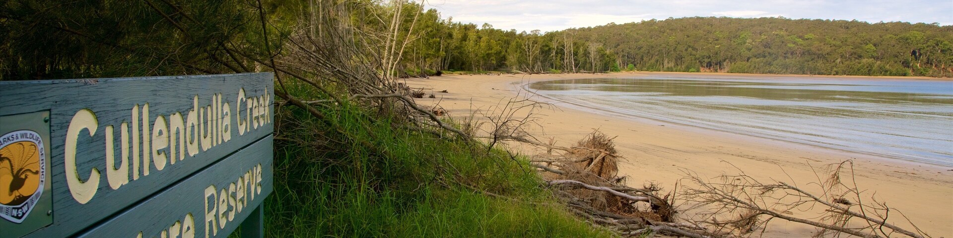 Batemans Bay which includes tranquil scenes, a beach and a bay or harbor