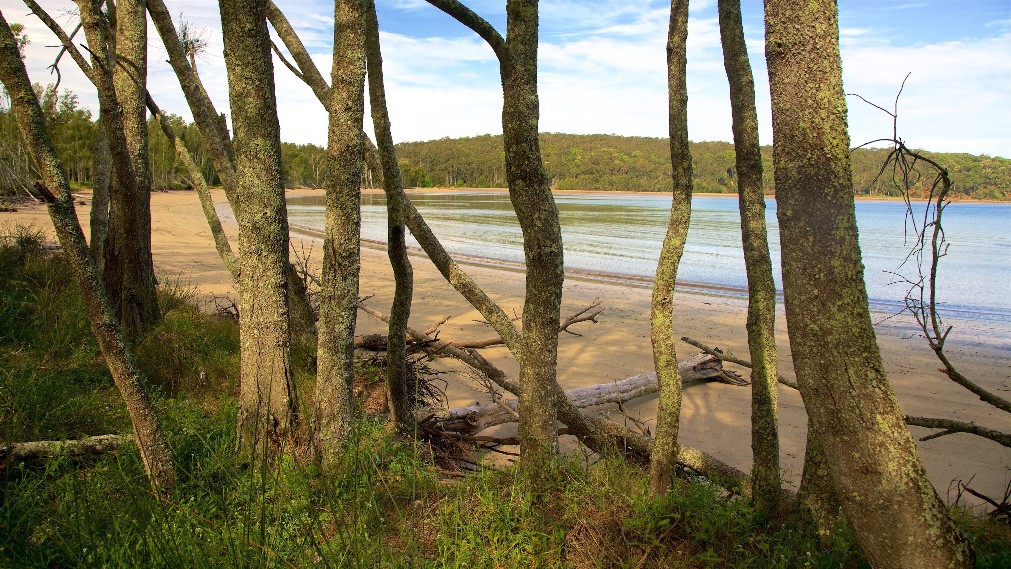 Cullendulla Creek Nature Reserve featuring a lake or waterhole