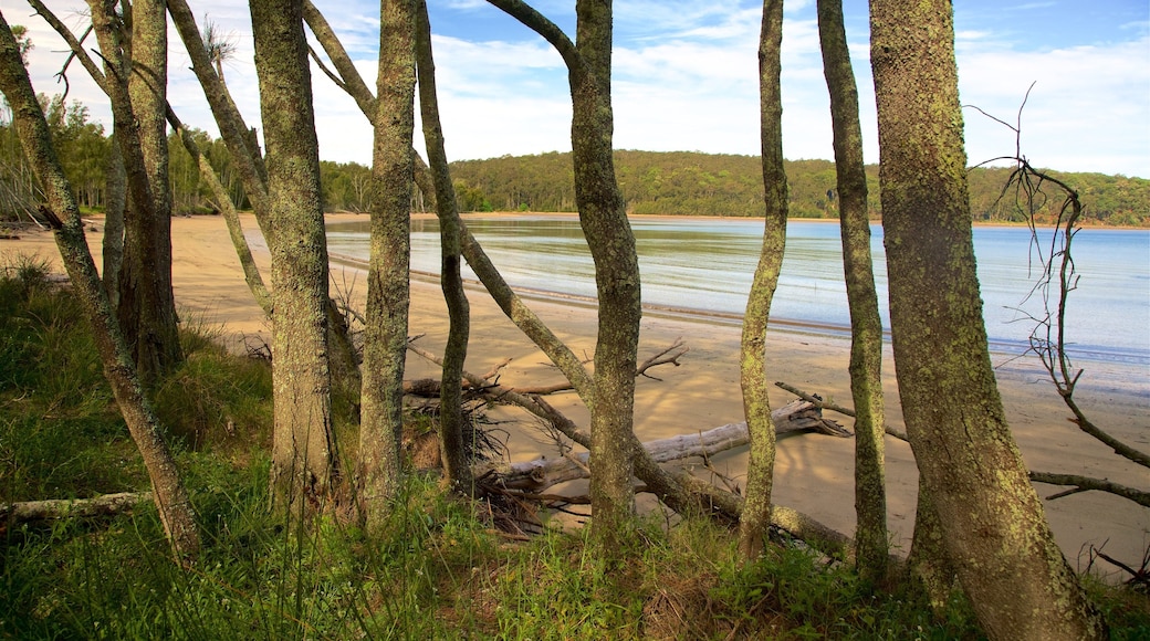 Cullendulla Creek Nature Reserve featuring a lake or waterhole