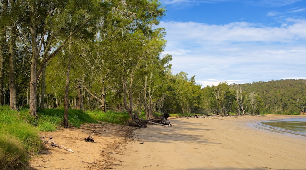 Cullendulla Creek Nature Reserve which includes a beach and general coastal views