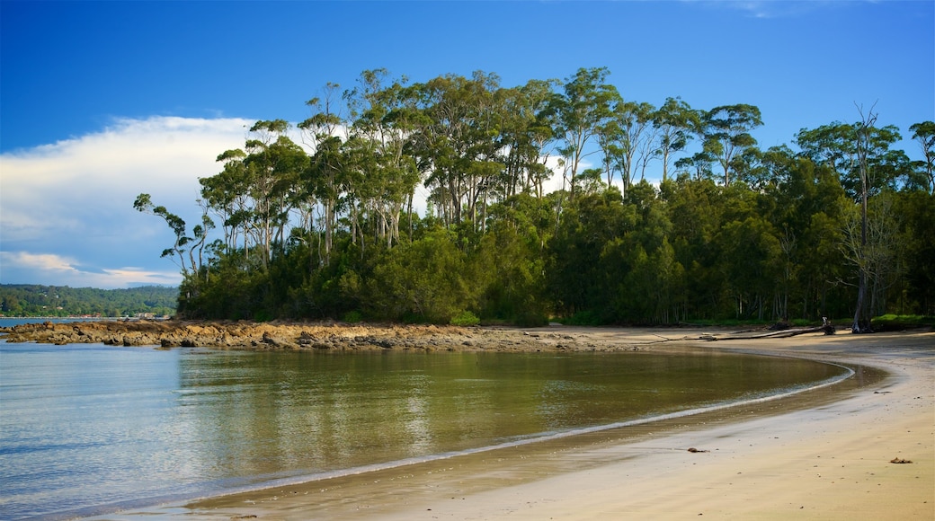 Batemans Bay johon kuuluu lahti tai satama, rauhalliset maisemat ja hiekkaranta