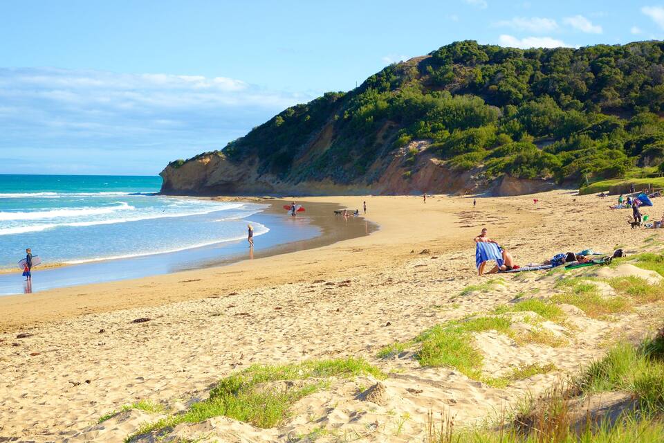 A sandy beach with waves, people, and a forested hill.